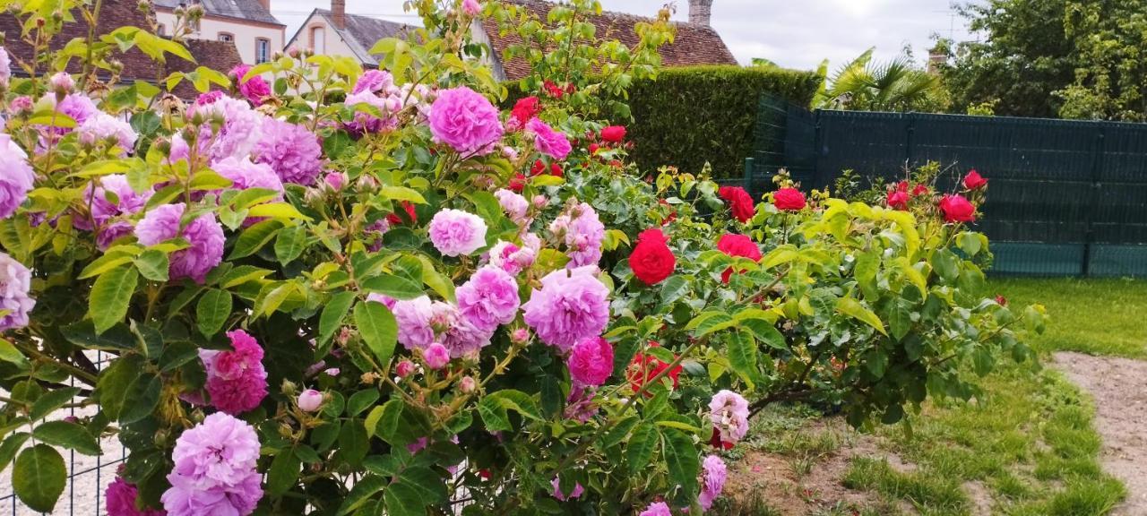 En Sologne, -chateaux De La Loire, Beauval - Holiday home Millancay